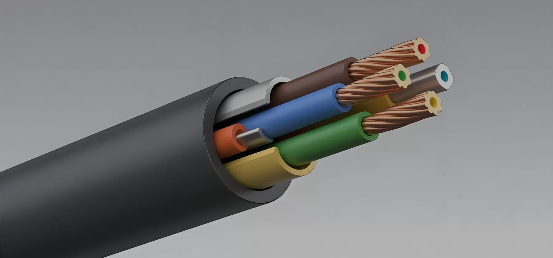 SPEAKER CABLE